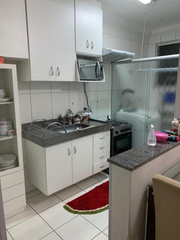 Alugar Apartamento / Padrão em Ribeirão Preto. apenas R$ 191.000,00