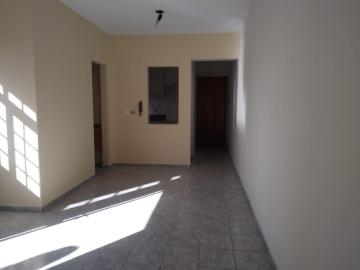Alugar Apartamento / Padrão em Ribeirão Preto. apenas R$ 730,00